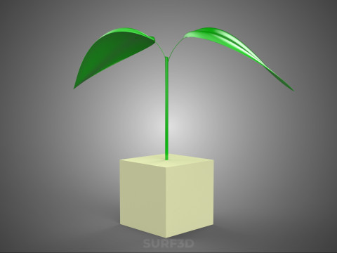 KÜP KÜP BLOK SÜNGER ORTA HİDROPONİK FİDE KÜÇÜK BİR BİTKİ 3D Model