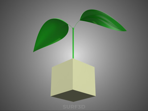 KÜP KÜP BLOK SÜNGER ORTA HİDROPONİK FİDE KÜÇÜK BİR BİTKİ 3D Model