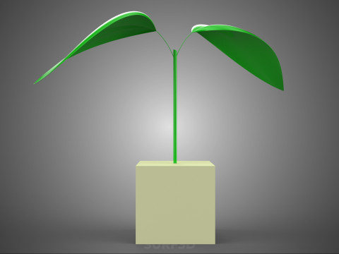 KÜP KÜP BLOK SÜNGER ORTA HİDROPONİK FİDE KÜÇÜK BİR BİTKİ 3D Model