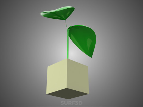 KÜP KÜP BLOK SÜNGER ORTA HİDROPONİK FİDE KÜÇÜK BİR BİTKİ 3D Model