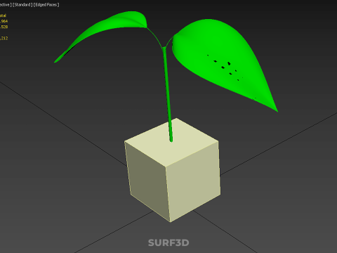 KÜP KÜP BLOK SÜNGER ORTA HİDROPONİK FİDE KÜÇÜK BİR BİTKİ 3D Model