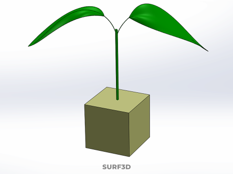 KÜP KÜP BLOK SÜNGER ORTA HİDROPONİK FİDE KÜÇÜK BİR BİTKİ 3D Model