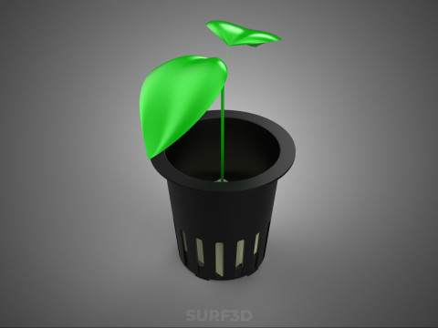 РАССАДА БЕЗ ПОЧВЫ БЕЗЗЕМЛЯНАЯ ГИДРОПОНИЧЕСКАЯ СЕТКА ГОРШОК МОЛОДОЕ РАСТЕНИЕ 3D Модель