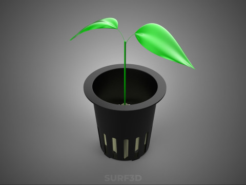 РАССАДА БЕЗ ПОЧВЫ БЕЗЗЕМЛЯНАЯ ГИДРОПОНИЧЕСКАЯ СЕТКА ГОРШОК МОЛОДОЕ РАСТЕНИЕ 3D Модель