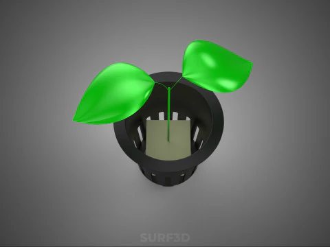 РАССАДА БЕЗ ПОЧВЫ БЕЗЗЕМЛЯНАЯ ГИДРОПОНИЧЕСКАЯ СЕТКА ГОРШОК МОЛОДОЕ РАСТЕНИЕ 3D Модель