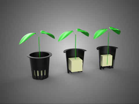 STANDAARD CUBE SPONGE STEENWOL SCHUIM PLUG MEDIUM IN PLANTENNET POT 3D Model