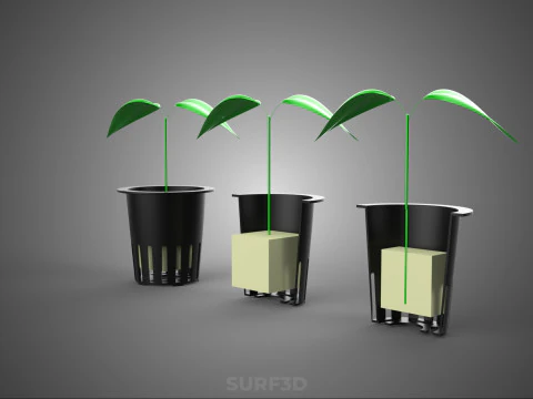 PLUG DE ESPUMA DE L&Atilde; DE ROCHA DE ESPONJA DE CUBO PADR&Atilde;O M&Eacute;DIO EM POTE DE REDE DE PLANTA Modelo 3D