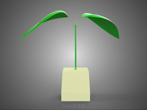 СТАНДАРТНЫЙ ЖЕЛТЫЙ ПЕНОПОРОННЫЙ БЛОК МИНИАЛЬНАЯ ВАТА КАМЕННАЯ ВАТА СТАРТОВЫЙ ГОРШОК 3D Модель