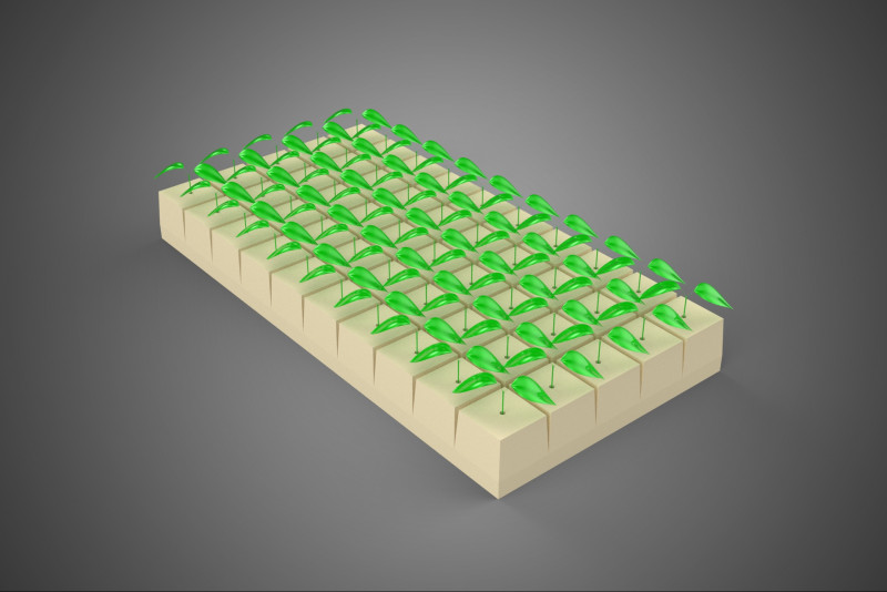 STEINWOLLE STEINWOLLE POLYURETHAN GARTENBAU SCHAUM SCHWAMM PFLANZE 3D Modell .c4d .max .obj .3ds .fbx .stl .blend 