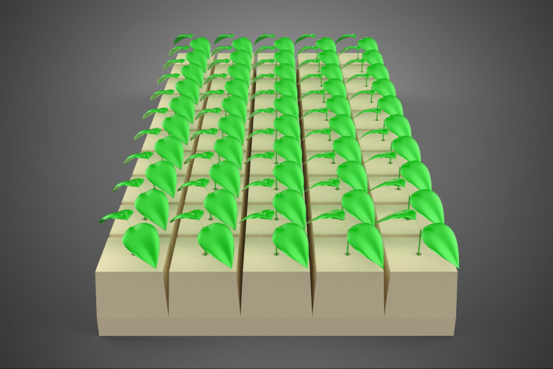FELS STEIN WOLLE SCHAUM SCHWAMM GERMINATIONSSCHALE PFLANZE CROP MAT CUBE 3D Modell .c4d .max .obj .3ds .fbx .stl .blend 