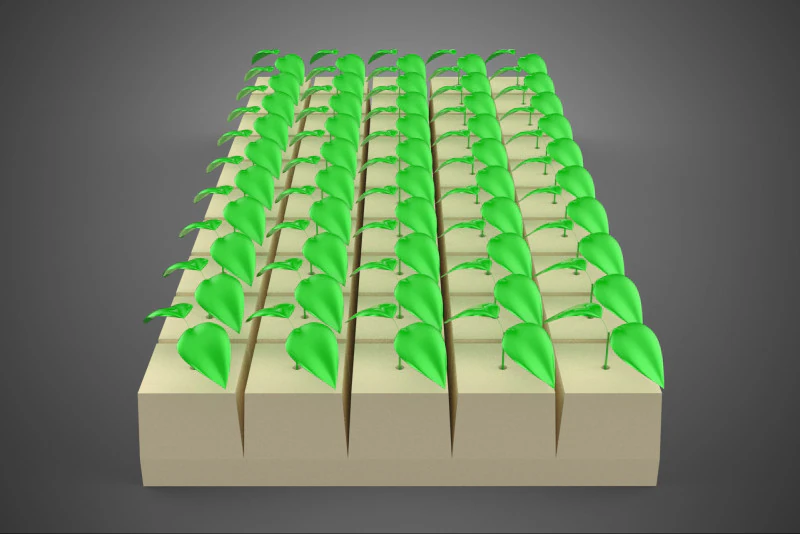 КАМЕННАЯ ВЕРТА ПЕНА ГУБКА ПОДДОН ДЛЯ ПРОРАЩИВАНИЯ РАСТЕНИЙ КОВРИК ДЛЯ РАСТЕНИЙ КУБ 3D Модель .c4d .max .obj .3ds .fbx .stl .blend 