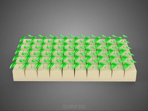 FELS STEIN WOLLE SCHAUM SCHWAMM GERMINATIONSSCHALE PFLANZE CROP MAT CUBE 3D Modell