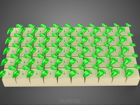 FELS STEIN WOLLE SCHAUM SCHWAMM GERMINATIONSSCHALE PFLANZE CROP MAT CUBE 3D Modell