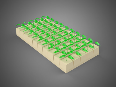FELS STEIN WOLLE SCHAUM SCHWAMM GERMINATIONSSCHALE PFLANZE CROP MAT CUBE 3D Modell