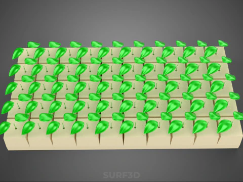 CUBE BLOCK ГУБКА СРЕДНЯЯ ГИДРОПОНИЧЕСКАЯ НАБОР ДЛЯ РАССАЖИ ИЗ КАМЕННОЙ ВАТЫ 3D Модель