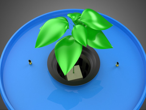 DBS 水耕栽培ダッチバケットシステム ネットポット植物作物モジュールセット 3Dモデル