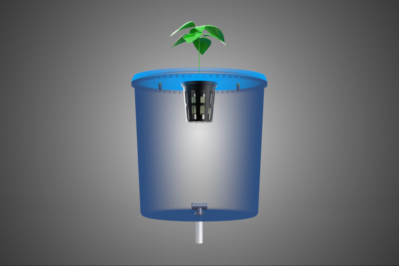 HİDROPONİK MAVİ REZERVUAR KOVASI NET SAKSI MOD&Uuml;L&Uuml; HOLLANDALI BİTKİ B&Uuml;Y&Uuml;TME 3D Model .c4d .max .obj .3ds .fbx .stl .blend 