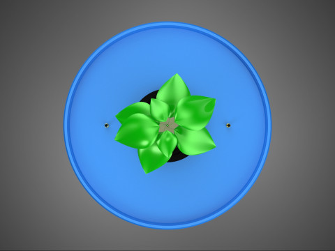 HİDROPONİK MAVİ REZERVUAR KOVASI NET SAKSI MOD&Uuml;L&Uuml; HOLLANDALI BİTKİ B&Uuml;Y&Uuml;TME 3D Model