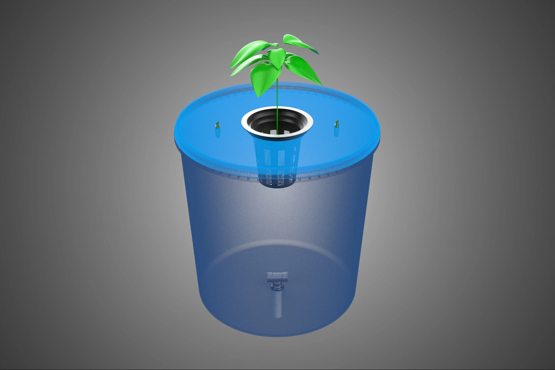 DUTCH BUCKET PLANT VEGETABLE FRUIT ORGANIC HYDROPONIC FARMING 3D Model .c4d .max .obj .3ds .fbx .stl .blend