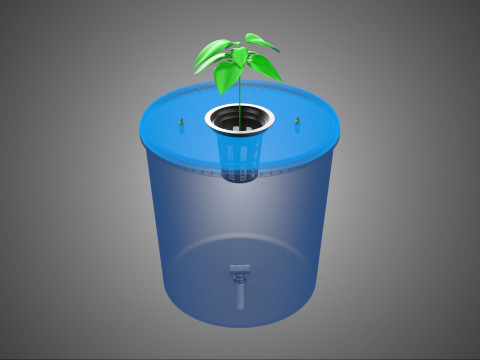 DUTCH BUCKET PLANT VEGETABLE FRUIT ORGANIC HYDROPONIC FARMING 3D Model