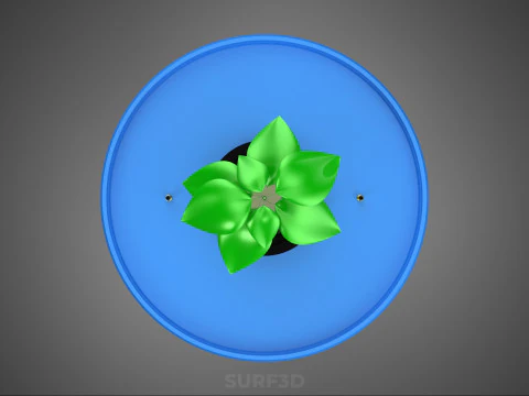 DUTCH BUCKET PLANT VEGETABLE FRUIT ORGANIC HYDROPONIC FARMING 3D Model