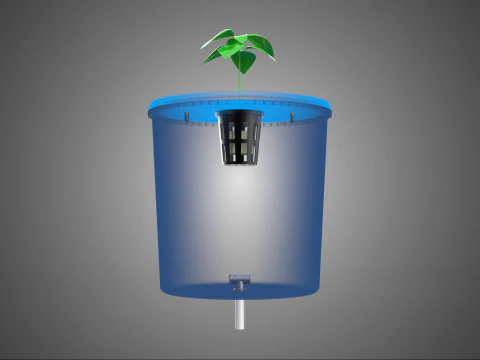 DUTCH BUCKET PLANT VEGETABLE FRUIT ORGANIC HYDROPONIC FARMING 3D Model