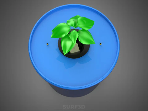 DUTCH BUCKET PLANT VEGETABLE FRUIT ORGANIC HYDROPONIC FARMING 3D Model