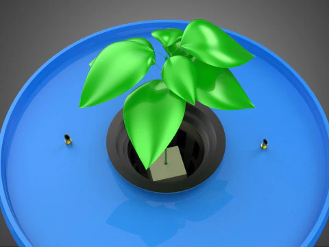 DUTCH BUCKET PLANT VEGETABLE FRUIT ORGANIC HYDROPONIC FARMING 3D Model