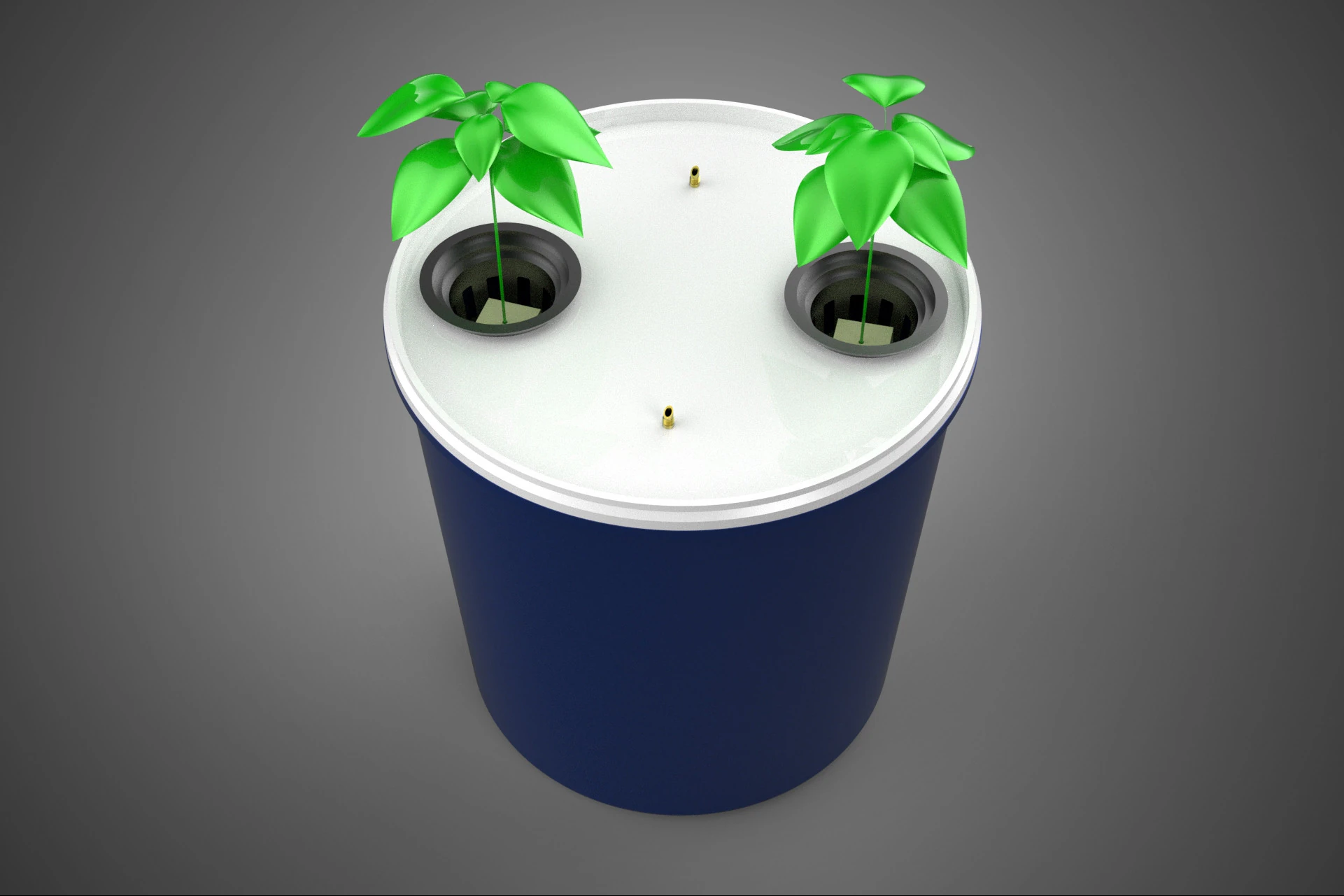 HYDROPONIC VEGETABLES FRUITS DUAL DUTCH BUCKET CHAMBER PLANT DIY 3D Model .c4d .max .obj .3ds .fbx .stl .blend 