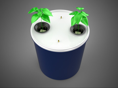 HYDROPONIC GROENTEN FRUIT DUAL DUTCH EMMERKAMER PLANT DIY 3D Model