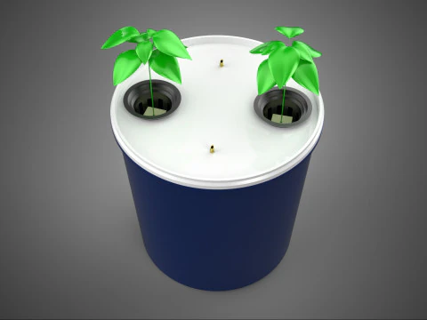 हाइड्रोपोनिक सब्जियां फल डुअल डच बकेट चैम्बर प्लांट DIY 3D मॉडल