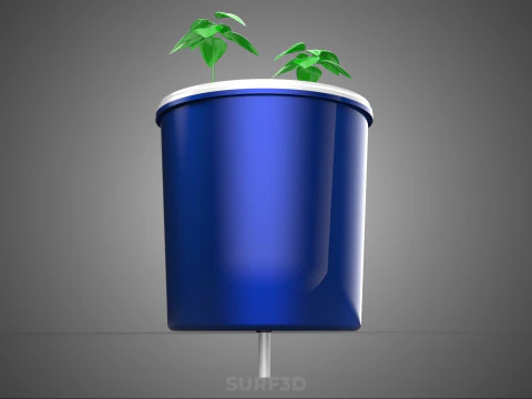 HYDROPONIC VEGETABLES FRUITS DUAL DUTCH BUCKET CHAMBER PLANT DIY 3D Model