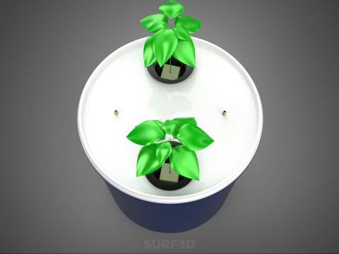 HYDROPONIC VEGETABLES FRUITS DUAL DUTCH BUCKET CHAMBER PLANT DIY 3D Model