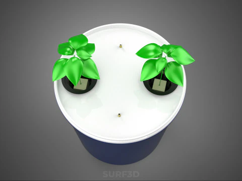 HYDROPONIC VEGETABLES FRUITS DUAL DUTCH BUCKET CHAMBER PLANT DIY 3D Model