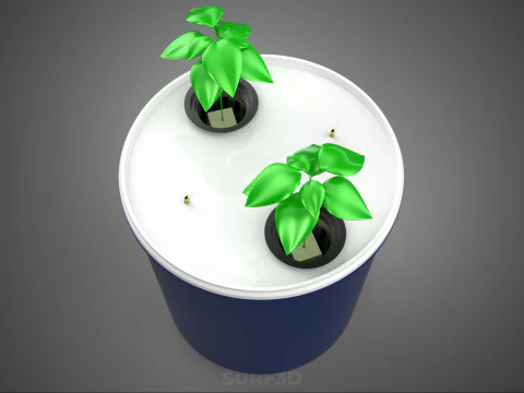 HYDROPONIC VEGETABLES FRUITS DUAL DUTCH BUCKET CHAMBER PLANT DIY 3D Model