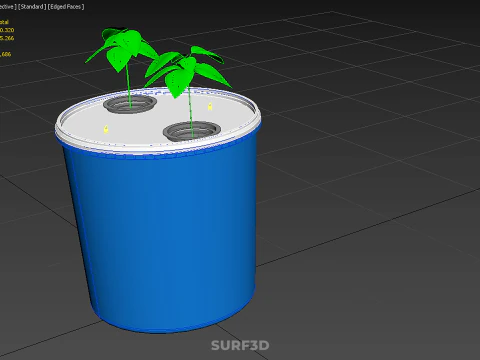 HYDROPONIC VEGETABLES FRUITS DUAL DUTCH BUCKET CHAMBER PLANT DIY 3D Model