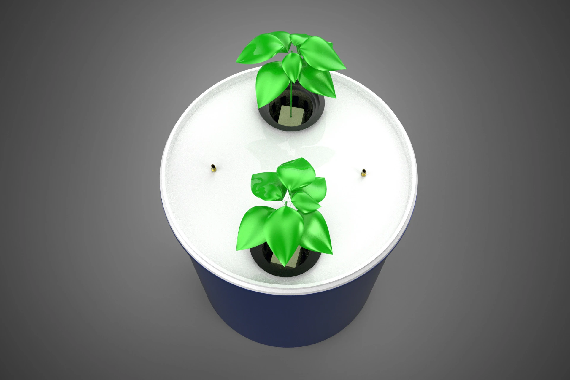 BATO POT DUTCH BUCKET SYSTEM DIY HYDROPONIC GREENHOUSE PLANT CUP 3D Model .c4d .max .obj .3ds .fbx .stl .blend 