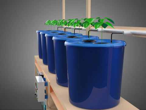 SOLAR PANEL IOT IRRIGATION DUTCH BUCKET SYSTEM HYDROPONIC PLANT 3D Model