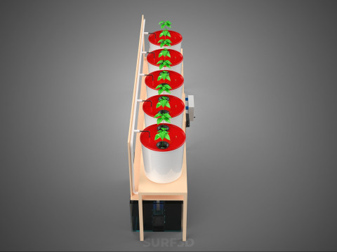 IOT PLANT POT RECIRCULATING HYDROPONIC DUTCH BUCKET SYSTEM SETUP 3D Model