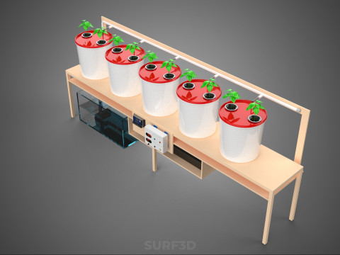 IOT PLANT POT RECIRCULATING HYDROPONIC DUTCH BUCKET SYSTEM SETUP 3D Model