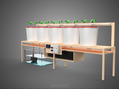 IOT PLANT POT RECIRCULATING HYDROPONIC DUTCH BUCKET SYSTEM SETUP 3D Model