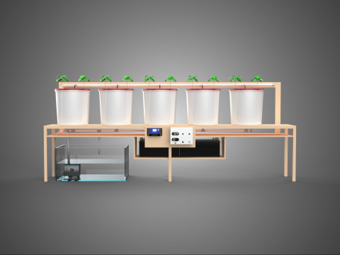 IOT PLANT POT RECIRCULATING HYDROPONIC DUTCH BUCKET SYSTEM SETUP 3D Model