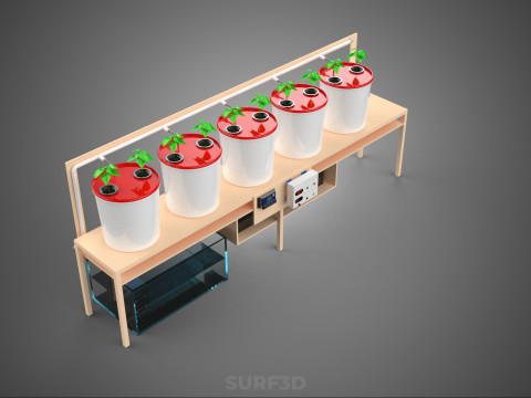 IOT PLANT POT RECIRCULATING HYDROPONIC DUTCH BUCKET SYSTEM SETUP 3D Model