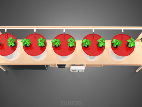 IOT PLANT POT RECIRCULATING HYDROPONIC DUTCH BUCKET SYSTEM SETUP 3D Model