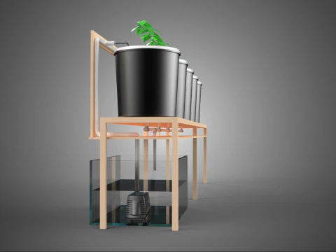 KIT BUCKET DUTCH BATO HYDROPONIC GROWING SYSTEM GARDEN PLANT DIY 3D Model