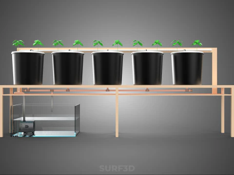 CRESCIMENTO HIDROP&Ocirc;NICO PLANTAS AGRICULTURA BALDE HOLAND&Ecirc;S SISTEMA BATO JARDIM Modelo 3D