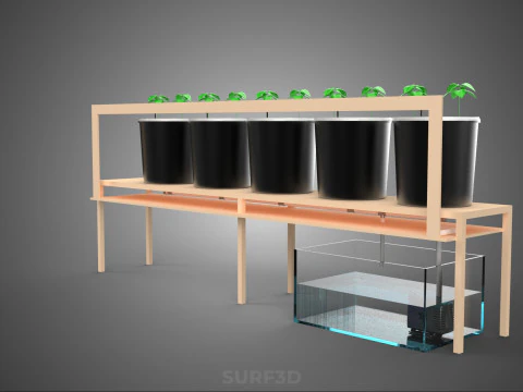 CRESCIMENTO HIDROP&Ocirc;NICO PLANTAS AGRICULTURA BALDE HOLAND&Ecirc;S SISTEMA BATO JARDIM Modelo 3D