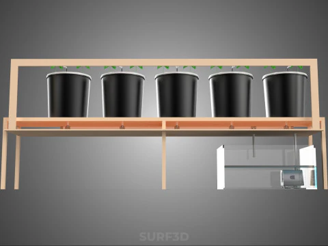 CRESCIMENTO HIDROP&Ocirc;NICO PLANTAS AGRICULTURA BALDE HOLAND&Ecirc;S SISTEMA BATO JARDIM Modelo 3D