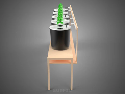 CRESCIMENTO HIDROP&Ocirc;NICO PLANTAS AGRICULTURA BALDE HOLAND&Ecirc;S SISTEMA BATO JARDIM Modelo 3D