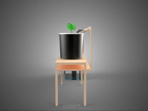 CRESCIMENTO HIDROP&Ocirc;NICO PLANTAS AGRICULTURA BALDE HOLAND&Ecirc;S SISTEMA BATO JARDIM Modelo 3D